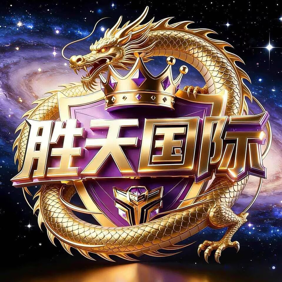胜天国际
